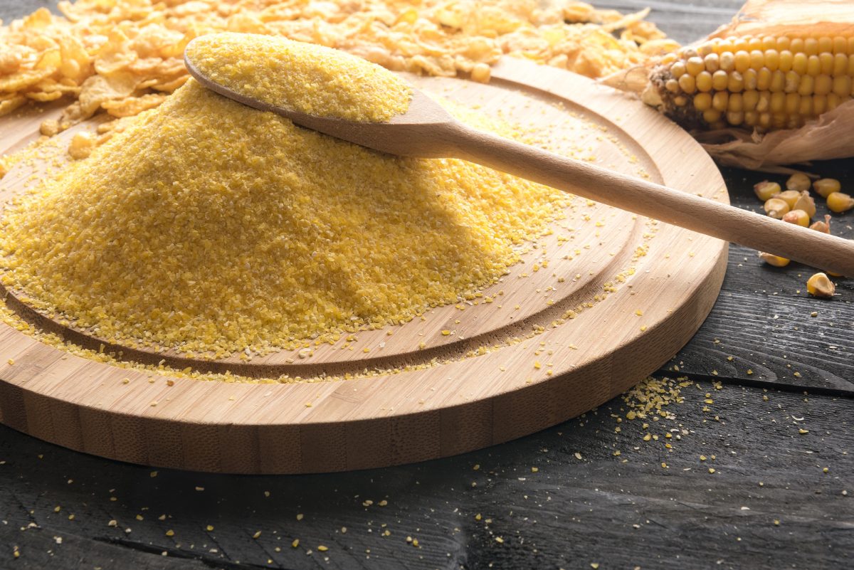 Depositphotos 172761642 L e1744856283844