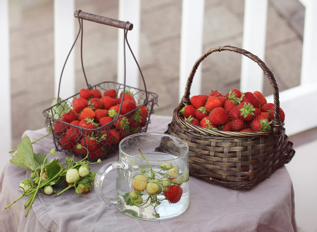 Depositphotos 203789414 L e1744857051310