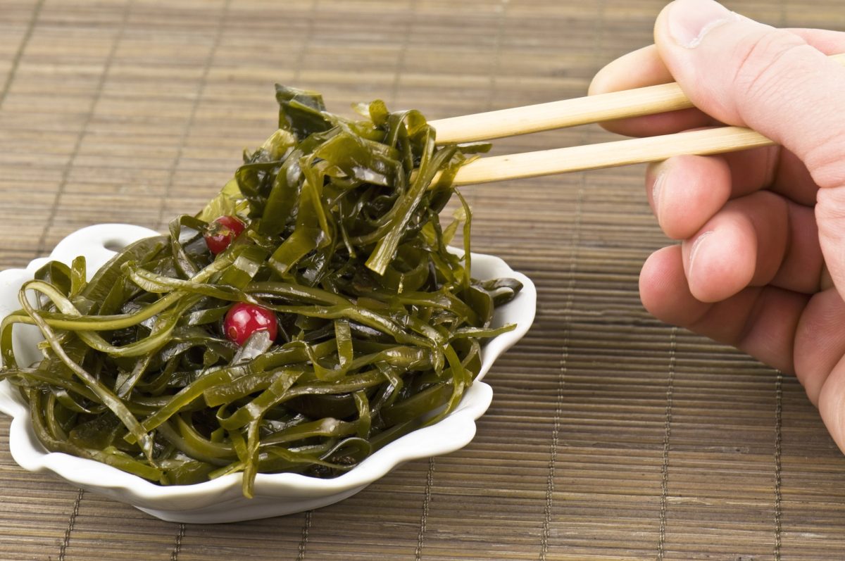 Depositphotos 22591287 L e1745483057341