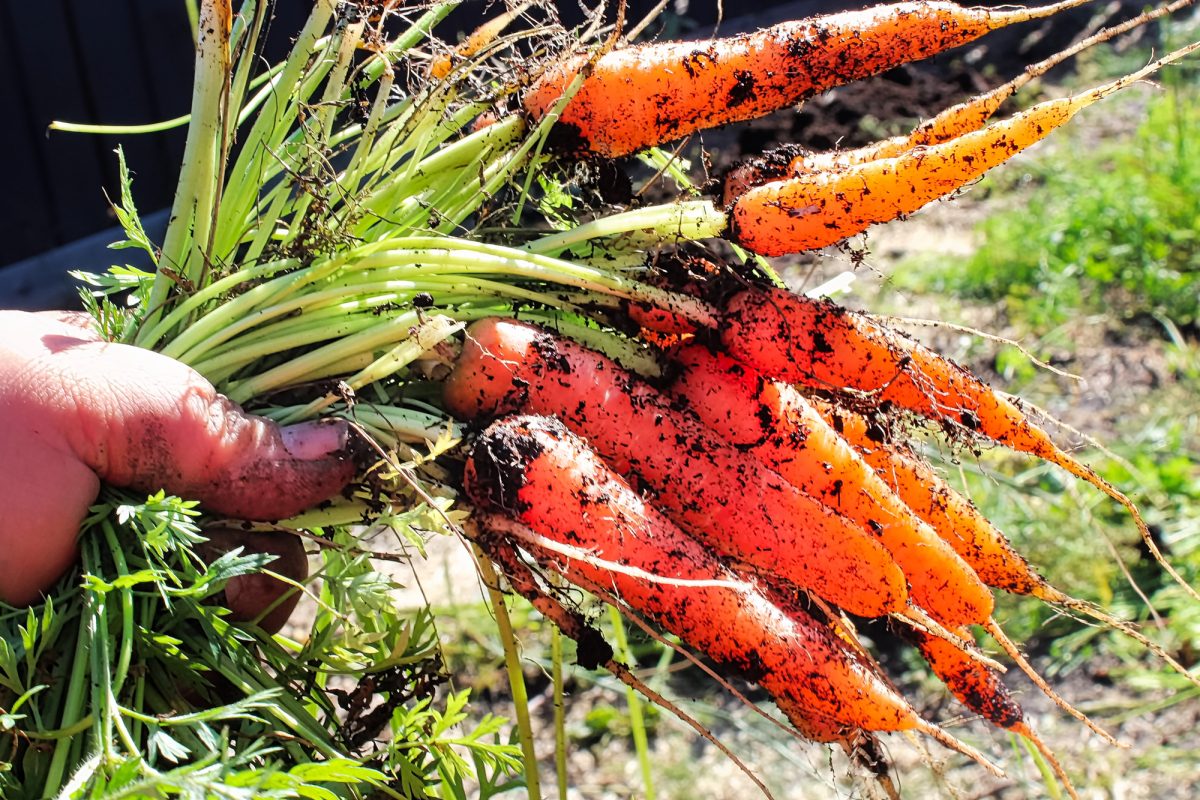 Depositphotos 238033896 L e1744856500898