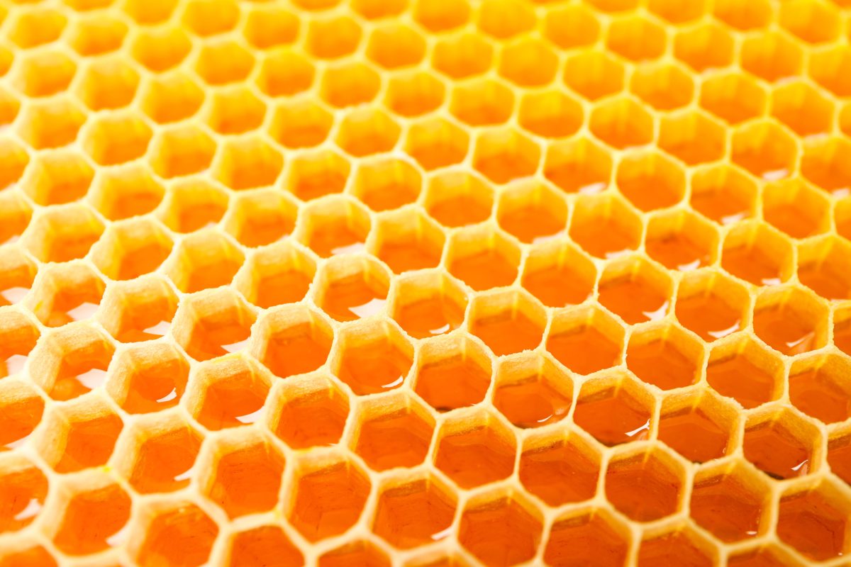 Depositphotos 300850924 L e1744856697810