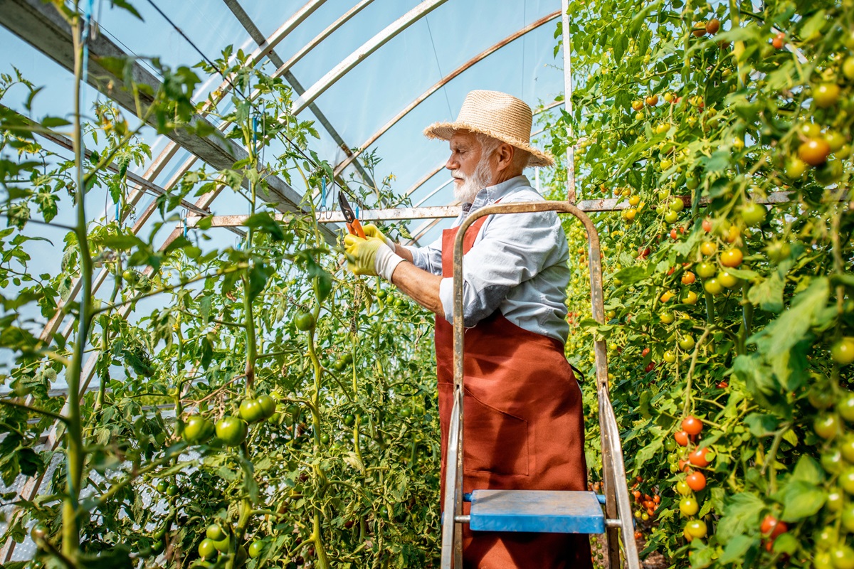 Depositphotos 321298720 L