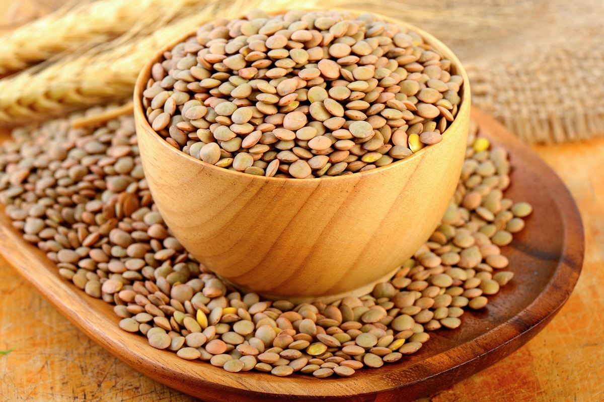 Depositphotos 149041807 L