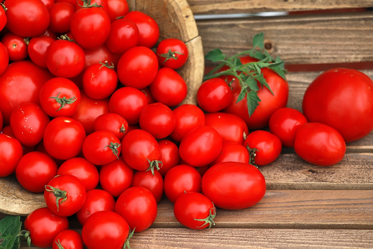 Depositphotos 176018388 L