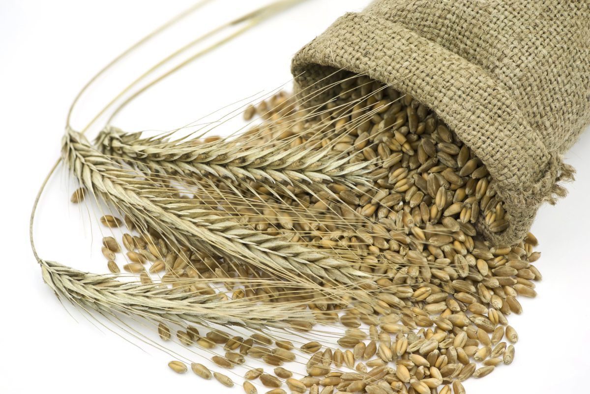 Depositphotos 6455097 L e1748355426112