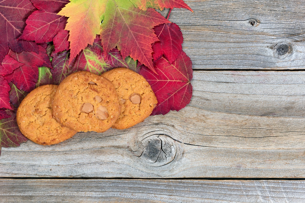 17 Thanksgiving Cookies That Taste Great thanksgiving cookies