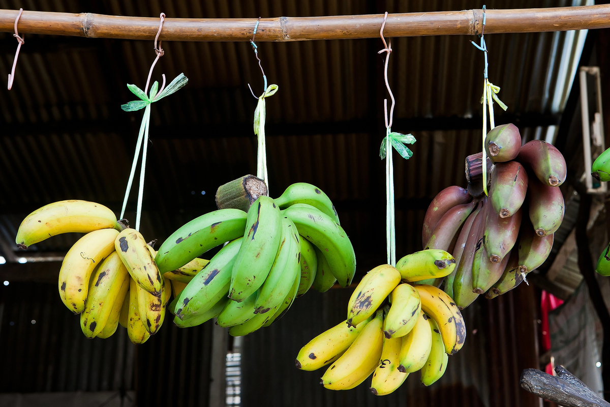 How To Ripen Bananas Quickly how to ripen bananas quickly