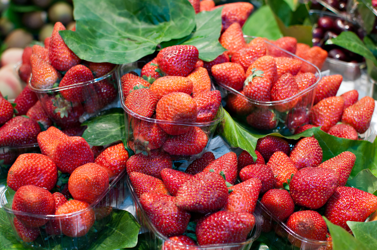 Depositphotos 14086863 L