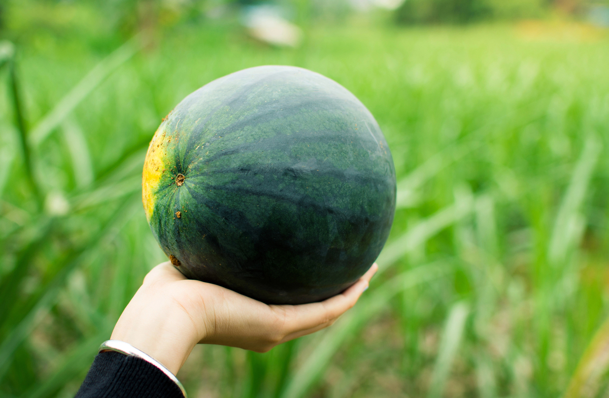 Depositphotos 152053516 L