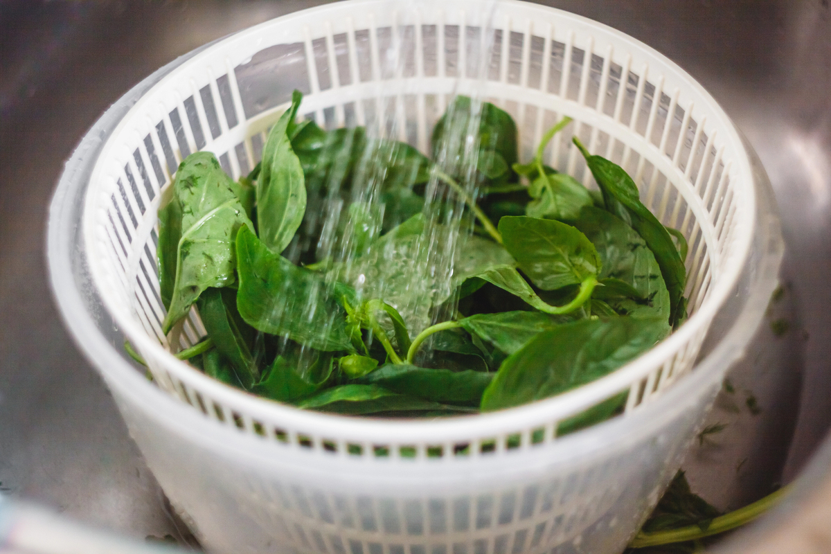 Depositphotos 251620542 L