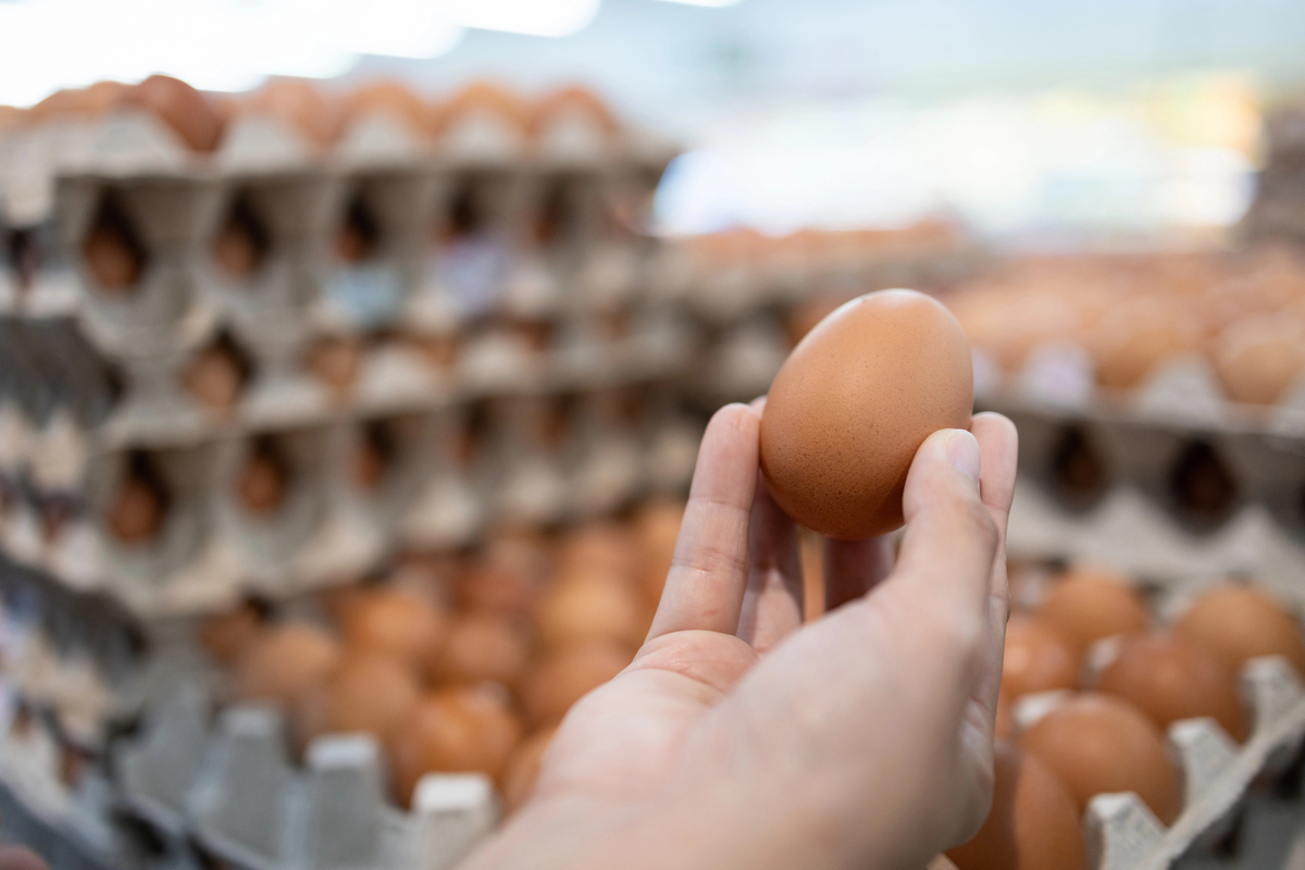 How To Tell If Eggs Are Still Good how to tell if eggs are still good