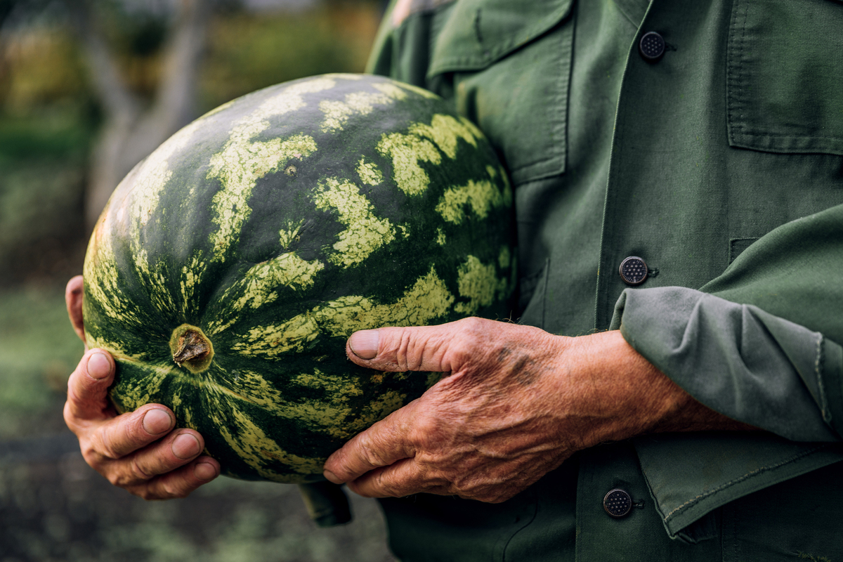 Depositphotos 426648992 L