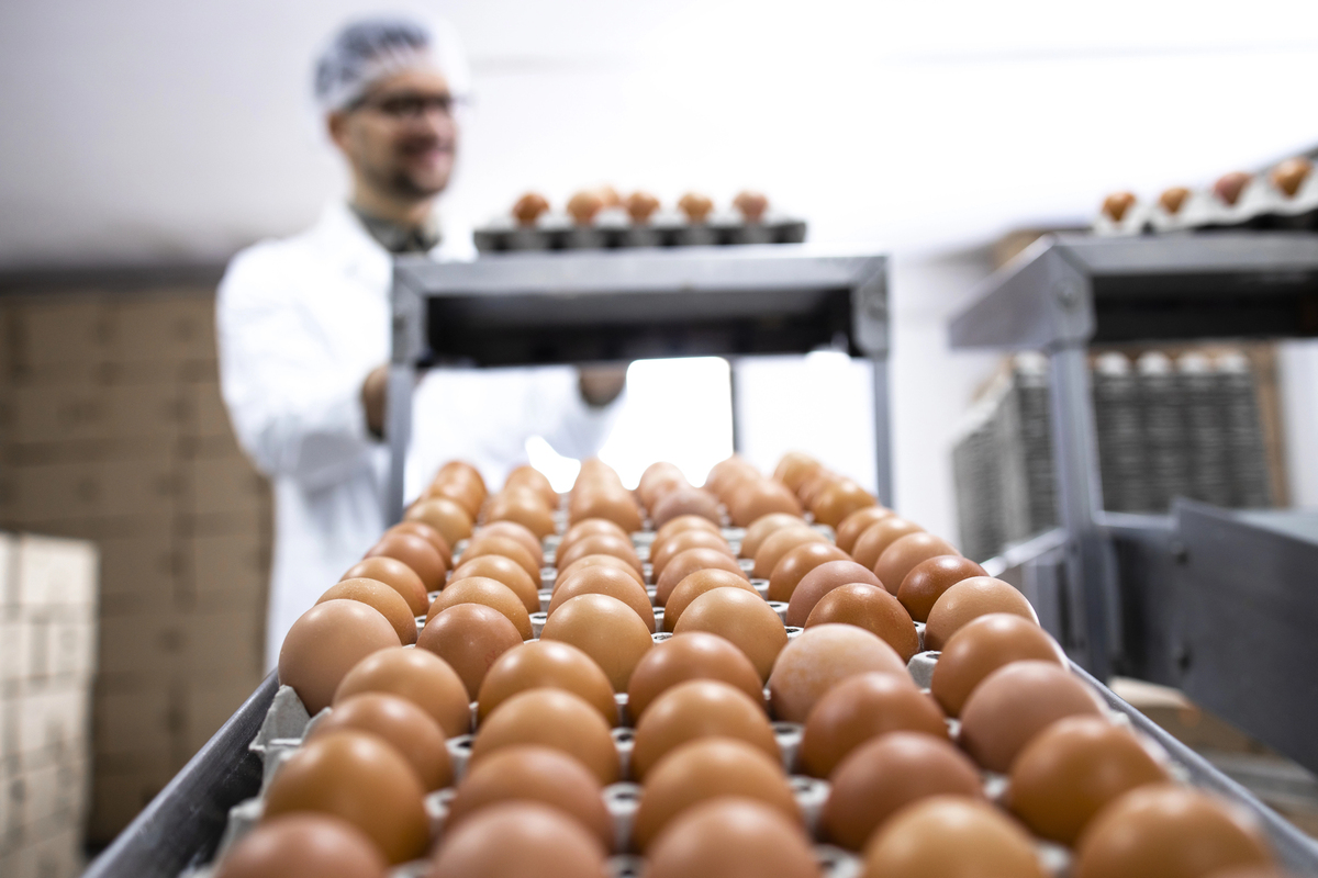 How To Tell If Eggs Are Still Good how to tell if eggs are still good