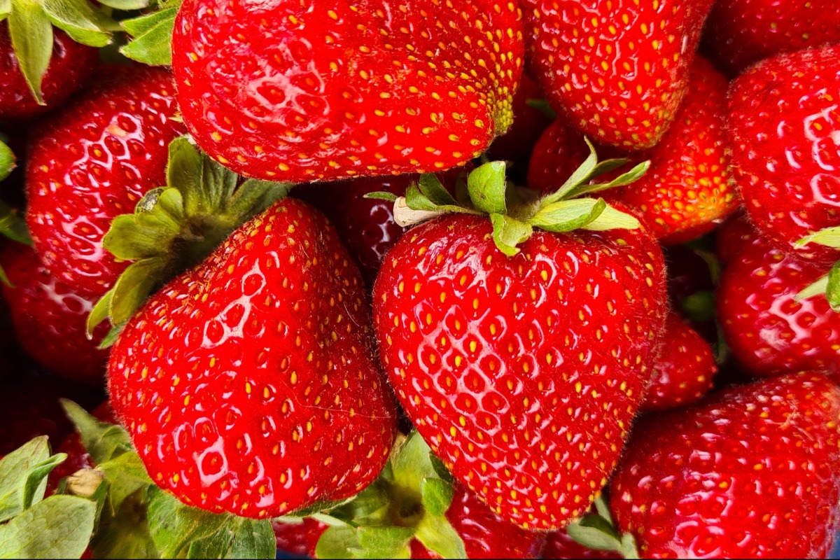 how to store strawberries in the fridge