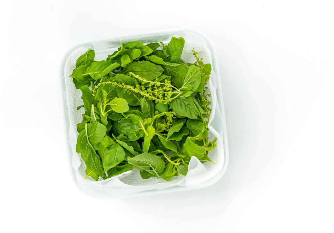 how to dry basil leaves