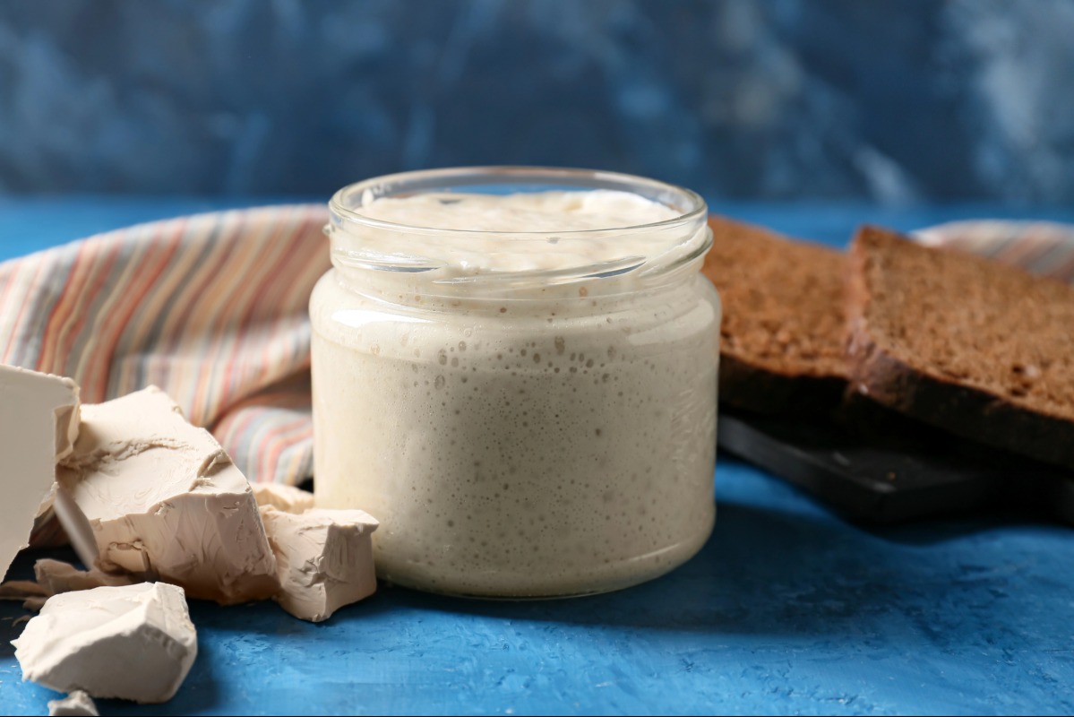 How to feed sourdough starter