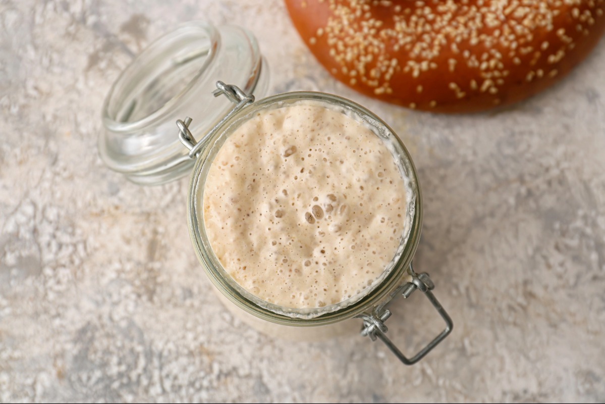 How to feed sourdough starter