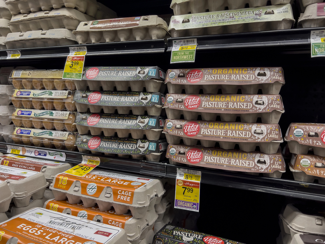 How To Tell If Eggs Are Still Good how to tell if eggs are still good