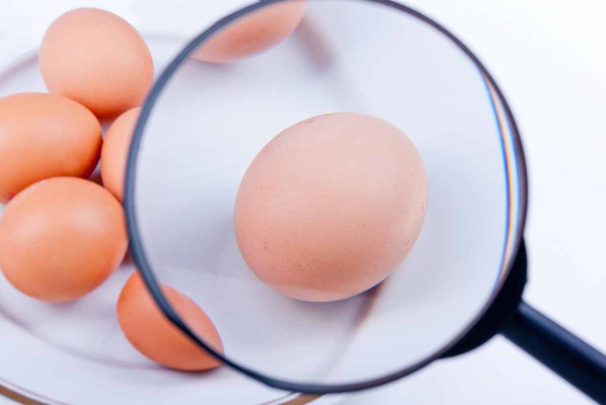 How To Tell If Eggs Are Still Good how to tell if eggs are still good