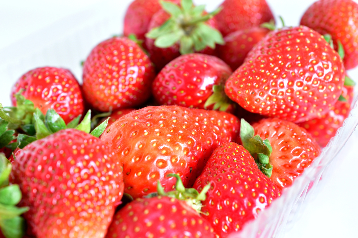 how to keep strawberries fresh longer