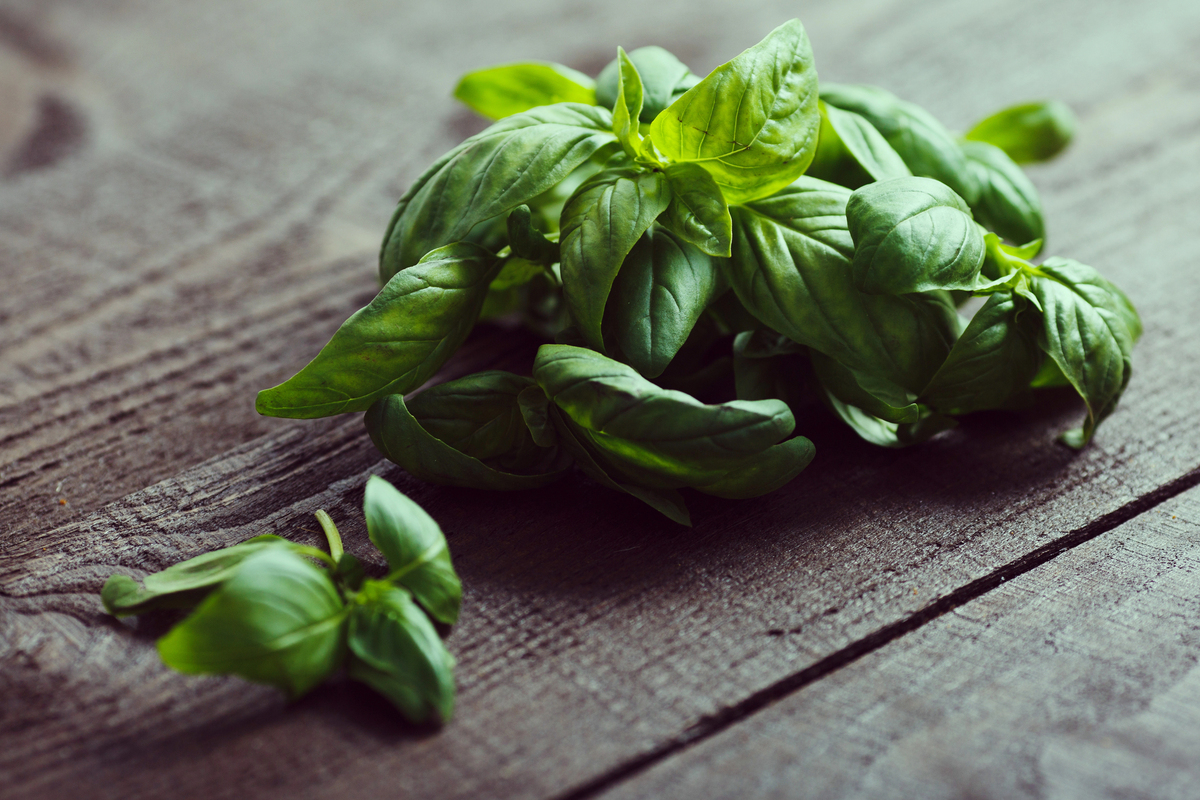 how to dry basil leaves